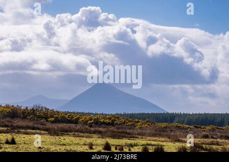 Slievemore Mountain, Achill Island, County Mayo, Irland im Frühling Stockfoto