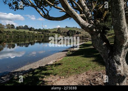 Der See Karāpiro ist ein Wasserkraftsee am Waikato River in Neuseeland und liegt 10 Autominuten von Cambridge entfernt. Der Fluss ist durch den Wai geflossen Stockfoto