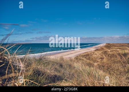 Weite Sicht auf die dänische Küste im Sommer. Hochwertige Fotos Stockfoto