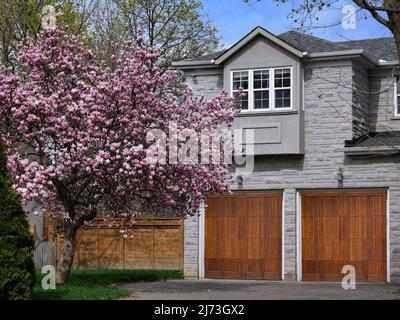 Haus mit Holzmaserung Garagentore und Magnolienbaum in Blüte Stockfoto