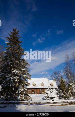 Altes Blockhaus im kanadischen Stil aus dem Jahr 1800s, das im Winter durch einen rustikalen Holzzaun geschützt ist. Stockfoto