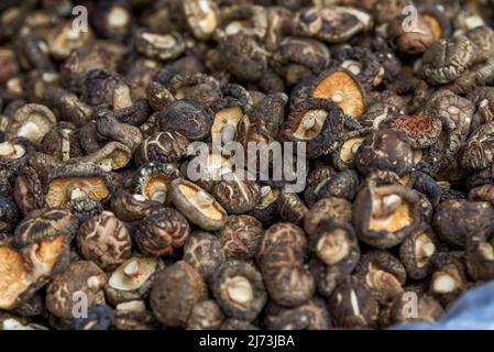 Ein Haufen duftender getrockneter Shiitake-Pilze aus der Nähe Stockfoto