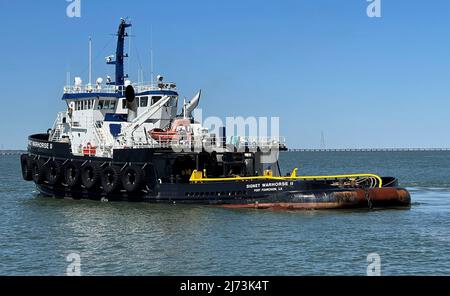 NEWPORT NEWS, VA. (2. April 2022) Signet Warhorse II schleppte das große, mittelschnelle Roll-on/Roll-off (LMSR)-Schiff des Militärkommandos USNS Yano (T-AKR 297) vom Newport News Marine Terminal in Newport News, VA. An die Marine Administration Reserve Fleet in Beaumont, Texas, Wo das Schiff dauerhaft der Ready Reserve Force (RRF) von MARAD beitreten wird. Der 16-Tage-Werg wurde am 18. April abgeschlossen. Stockfoto