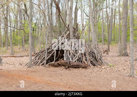 Waldschutz aus Ästen Stockfoto