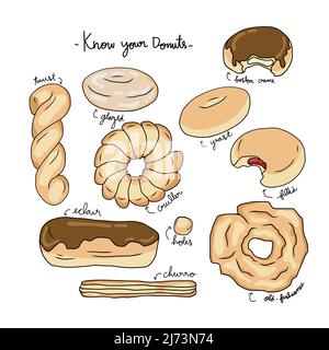 Machen Sie sich mit der Vektordarstellung Ihres Donuts-Diagramms vertraut Stock Vektor