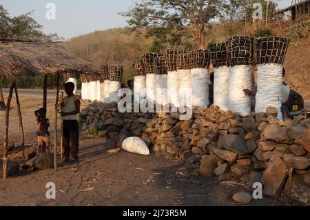 Holzkohlestand, Thyolo Escarpment; Chikwawa District, Malawi, Stockfoto