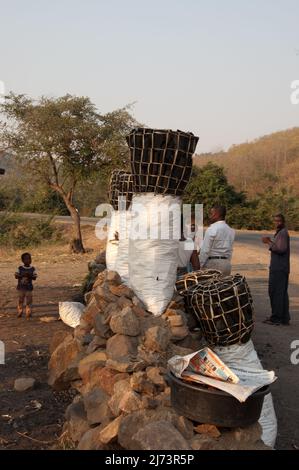 Holzkohlestand, Thyolo Escarpment; Chikwawa District, Malawi. Stockfoto