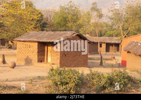 Schlammhütten mit Strohdächern, Bäumen, kleines afrikanisches Dorf, Chikwawa District, Malawi Stockfoto