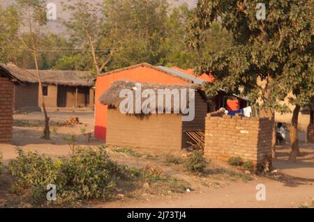 Schlammhütten mit Strohdächern, Bäumen, kleines afrikanisches Dorf, Chikwawa District, Malawi Stockfoto