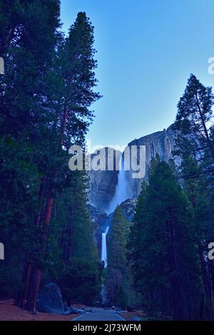 Die Yosemite Falls vom Trailhead Stockfoto