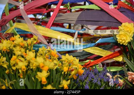 Lisse, Niederlande, April 2022. Farbenfrohe Darstellungen von Tulpen, Narzissen und Hyazinthen am Keukenhof. Hochwertige Fotos Stockfoto