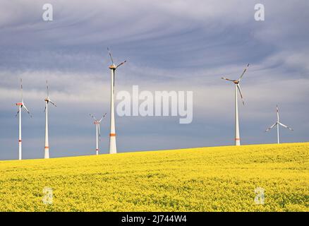 30. April 2022, Brandenburg, Alt Zeschdorf: Windräder stehen auf einem Hügel hinter einem leuchtend gelb blühenden Rapsfeld. Foto: Patrick Pleul/dpa Stockfoto