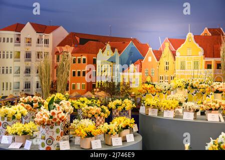 Lisse, Niederlande, April 2022. Farbenfrohe Darstellungen von Tulpen, Narzissen und Hyazinthen am Keukenhof. Hochwertige Fotos Stockfoto