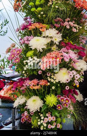 Schöner Frühlingsstrauß. Blumenarrangement mit Chrysanthemen in verschiedenen Farben. Konzept der Floristik eines Blumengeschäftes, eines kleinen Familienunternehmens. Stockfoto