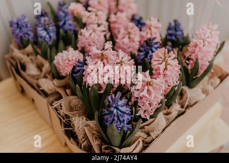 Bunte rosa blau lila Lavendel Frühlingsblumen in Handwerk Papier Töpfe auf dem Tisch in Geschenkbox. Überraschungsgeschenk für Urlaub am 8. März International Stockfoto