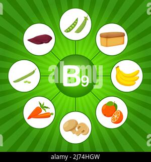 Quadratisches Poster mit Lebensmitteln, die Vitamin B9 enthalten. Folsäure. Medizin, Ernährung, gesunde Ernährung, Infografiken. Flache Cartoon-Lebensmittel-Elemente auf einer Brigg Stock Vektor