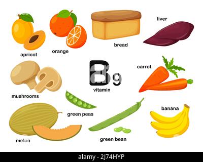 Rechteckiges Plakat mit Lebensmitteln, die Vitamin B9 enthalten. Folsäure. Medizin, Ernährung, gesunde Ernährung, Infografiken. Produkte mit Namen.flache Karikatur Stock Vektor