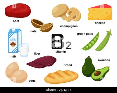 Rechteckiges Plakat mit Lebensmitteln, die Vitamin B2 enthalten. Riboflavin. Medizin, Ernährung, gesunde Ernährung, Infografiken. Produkte mit Namen.flache Karikatur Stock Vektor