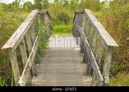 Fußgängerbrücke im Nationalpark Lauwersmeer, einem der schönsten Naturschutzgebiete und Vogelschutzgebiete der Niederlande Stockfoto