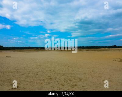 Panoramablick auf das Naturschutzgebiet Hulshorsterzand auf der Veluwe in den Niederlanden. Pinienwälder und Treibsand von Hulshorster Zand bei Nunspeed. Stockfoto