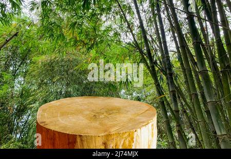 Runde Holzsäge geschnitten Zylinderform für Produktanzeige mit Bambus Wald Hintergrund Stockfoto