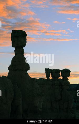 Thor's Hammer Formation am frühen Morgen, Sunrise Point, USA, Utah, Bryce Canyon National Park Stockfoto