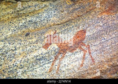 Alte Felsmalerei des San, Einheimische Südafrikas, Sevilla Rock Art Trail, Cederberge in der Nähe von Clanwilliam und Wuppertal, Südafrika, Westen Stockfoto