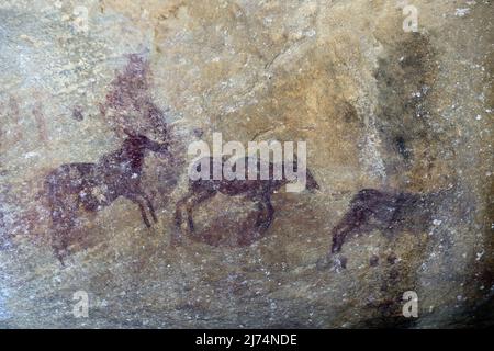 Alte Felsmalerei des San, Einheimische Südafrikas, Sevilla Rock Art Trail, Cederberge in der Nähe von Clanwilliam und Wuppertal, Südafrika, Westen Stockfoto