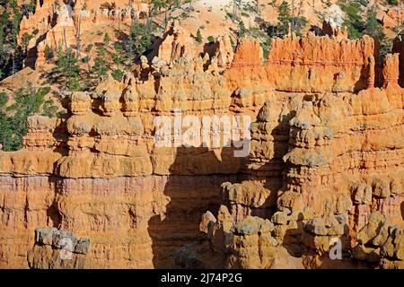 Felsformationen und Hoodoos des Bryce Canyon bei Sonnenuntergang, Sunset Point, USA, Utah, Bryce Canyon National Park Stockfoto