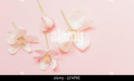 Schöne frische Blumen von Apfelbaum auf hellrosa Tisch. Stockfoto