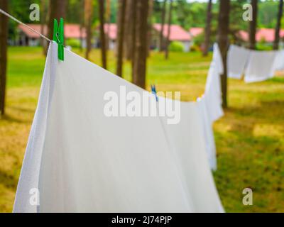 Nahaufnahme von frischer weißer Wäsche, die an einem Waschseil mit Wäscheklammer zwischen Kiefern im Freien in einem Sommerlager in einem Wald hängt Stockfoto