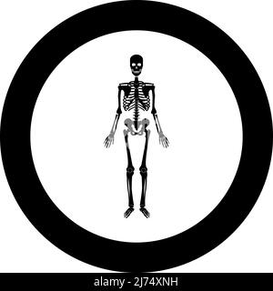 Skelett menschlichen Symbol im Kreis rund schwarz Farbe Vektor Illustration Bild solide Umriss Stil einfach Stock Vektor