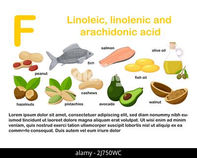 Rechteckiges Poster mit Lebensmitteln, die Vitamin F. linolenische und Arachidonsäure enthalten. Medizin, Ernährung, gesunde Ernährung, Infografiken. Flaches Cartoo Stock Vektor