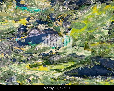 Künstler Ölfarben auf Holzpalette. Makro Künstler Palette, Textur gemischt Ölfarben in verschiedenen Farben und Sättigung. Kunst Palette Hintergrund Stockfoto