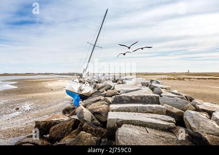 Kein Wasser unter dem Kiel. Modernes Segelboot, Yacht am Strand neben einem Pier aus Felsen gestrandet. East Coast, Massachusetts Stockfoto