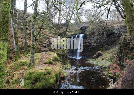 Dalcairney Falls - Schottland Stockfoto