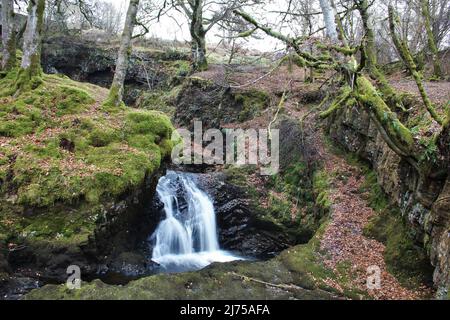 Dalcairney Falls - Schottland Stockfoto