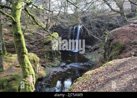 Dalcairney Falls - Schottland Stockfoto
