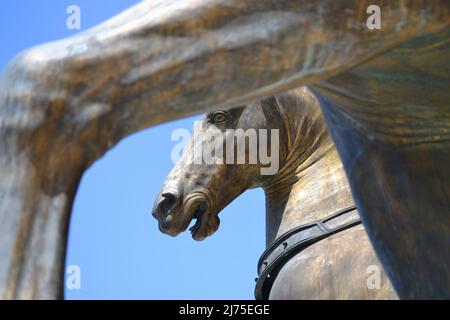 Venedig, Italien - 17. Mai 2011: Alte Bronzepferde im Markusdom in Venedig. Berühmte Quadriga aus Konstantinopel, byzantinisches Denkmal Stockfoto