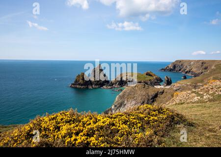 Atemberaubende Landschaft in Kynance Cove, Cornwall, Großbritannien Stockfoto