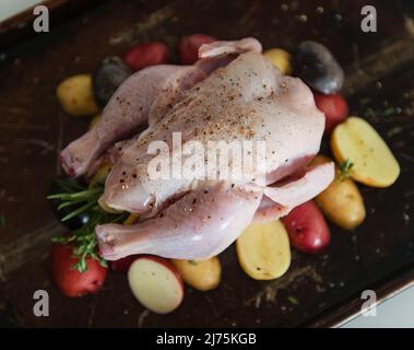 Kraut und Zitrone gefüllte Wildhund auf einem Bett mit Kartoffeln in einer Bratpfanne Stockfoto