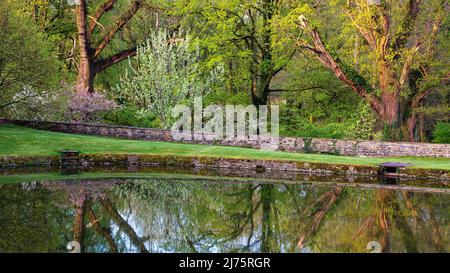 Der Pool und der Wald im frühen Frühjahr in den Aberglasney Gardens Stockfoto