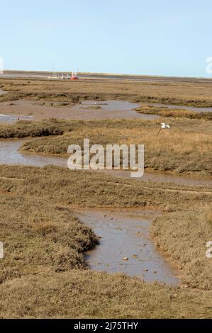 Brancaster Staithe, Norfolk, Großbritannien - 18. April 2021: Mit Blick auf die Wattflächen, norfolk Stockfoto