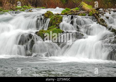 Blick auf die Fall River Falls, am Fall River in den zentralen Oregon Cascade Mountains in der Nähe von Sunriver. Stockfoto
