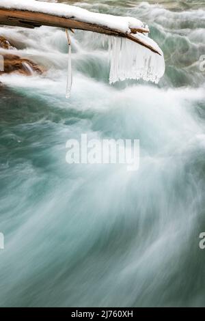 Einzelne Zapfen hängen an einem gebrochenen Baumstamm über dem Rissbach in der eng bei Hinterriss über dem Gischt des Bergbaches im Karwendelgebirge Stockfoto