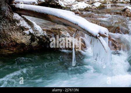 Einzelne Zapfen hängen an einem gebrochenen Baumstamm über dem Rissbach in der eng bei Hinterriss über dem Gischt des Bergbaches im Karwendelgebirge Stockfoto