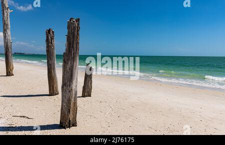 Ghost Tree am Lovers Key Beach, Lovers Key State Park, Fort Myers Beach, Florida, USA Stockfoto