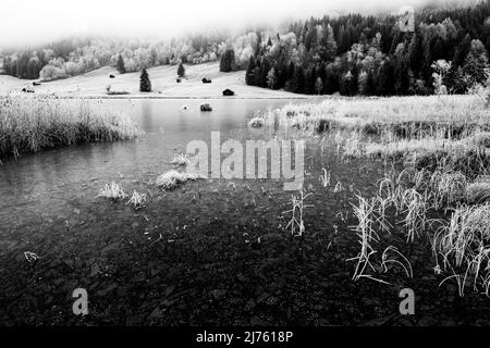 Winter mit Reif und Eis am Ufer des Geroldsee/ Wagenbrüchsee im Werdenfelser Land, im Hintergrund einzelne Heuhaufen und Wald. Stockfoto