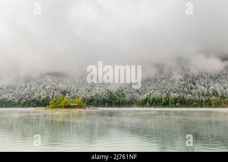 Kleine grüne Insel im Eibsee, unterhalb der Zugspitze in den bayerischen Alpen des Wettersteingebirges während der Eisheiligen im Frühjahr. Im Hintergrund Schnee auf dem frischen Grün des Waldes und dichten Regenwolken. Stockfoto