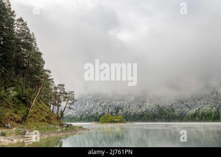 Kleine grüne Insel im Eibsee, unterhalb der Zugspitze in den bayerischen Alpen des Wettersteingebirges während der Eisheiligen im Frühjahr. Im Hintergrund Schnee auf dem frischen Grün des Waldes und dichten Regenwolken. Stockfoto